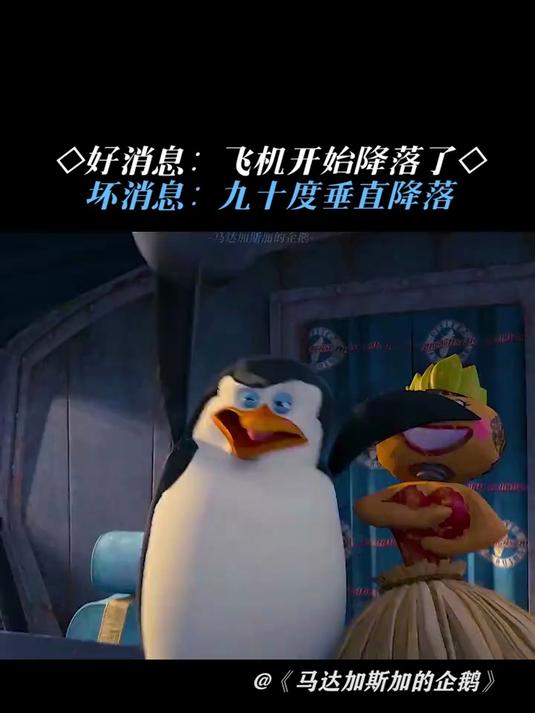 马达加斯加的企鹅:九十度垂直降落也是降落