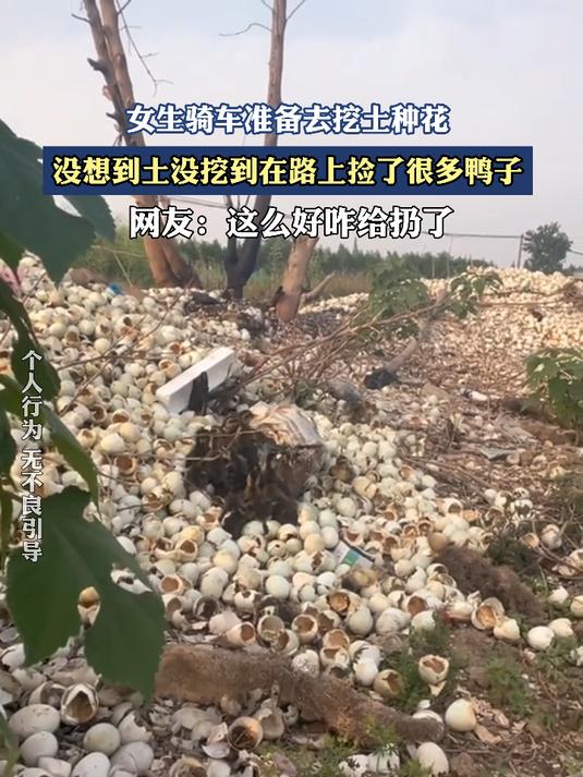 女生骑车准备去挖土种花,没想到土没挖到在路上捡了很多鸭子