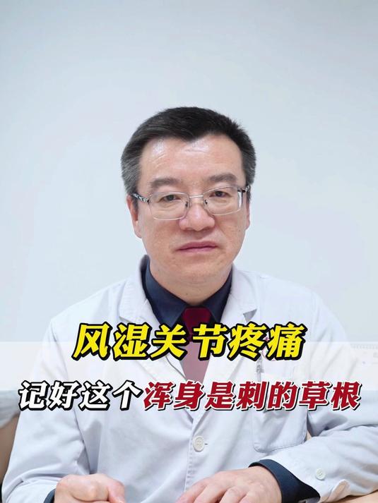风湿关节疼痛 记好这个浑身是刺的草根