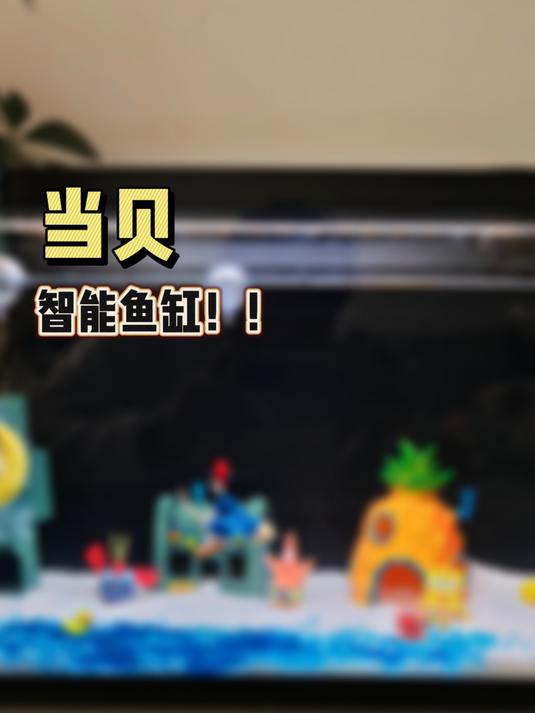 当贝-智能鱼缸评测!新手也能养好鱼……