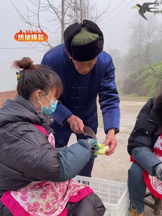 超级下饭的榨菜,榨菜丝又脆又嫩,搭配粥和馒头简直太合适了