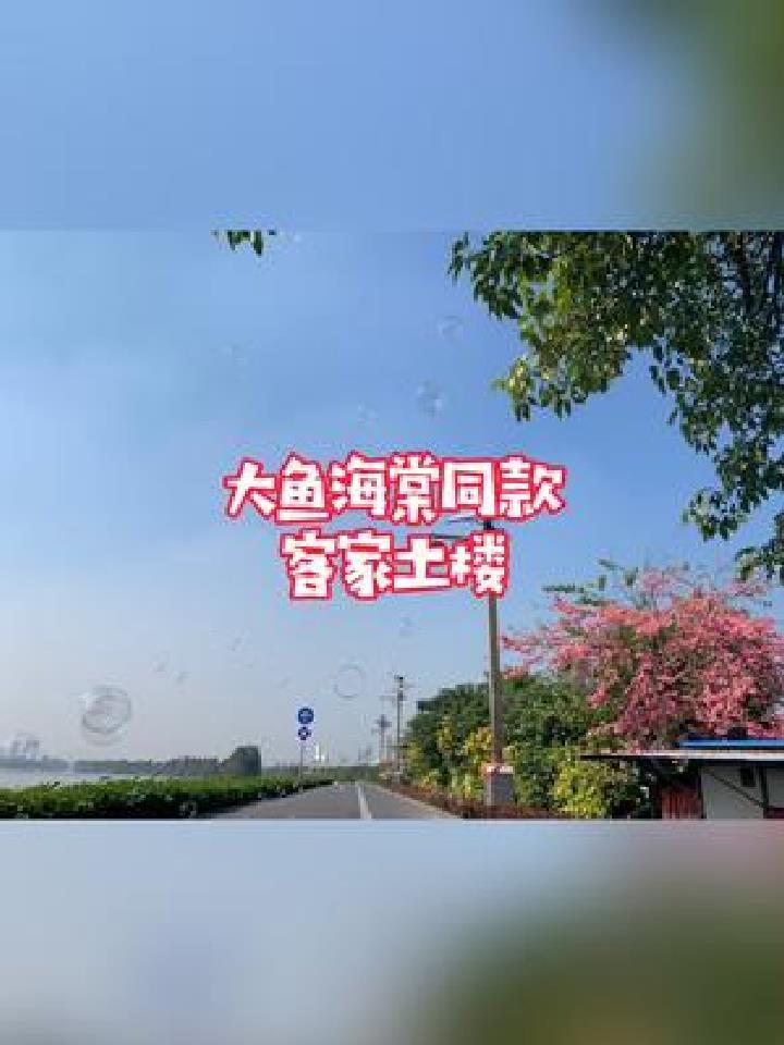 我想带你去大鱼海棠的世界里走走呀呀