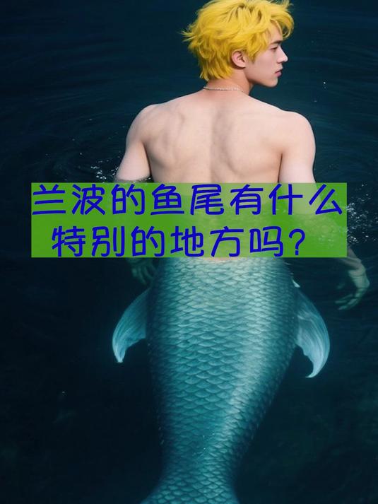 人鱼陷落兰波的鱼尾有什么特别的地方吗?