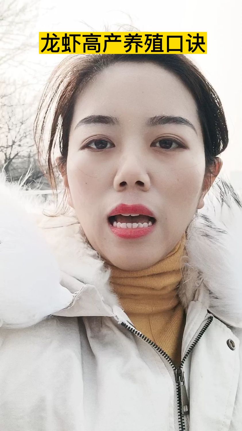 龙虾高产养殖口诀