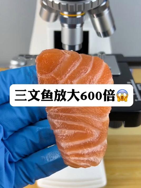 三文鱼也会有寄生虫吗?