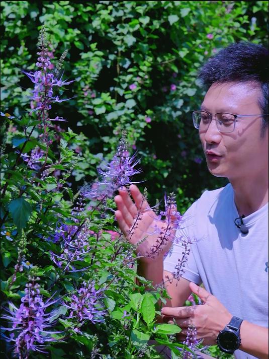 实力与颜值并存的小花,你在野外见过吗