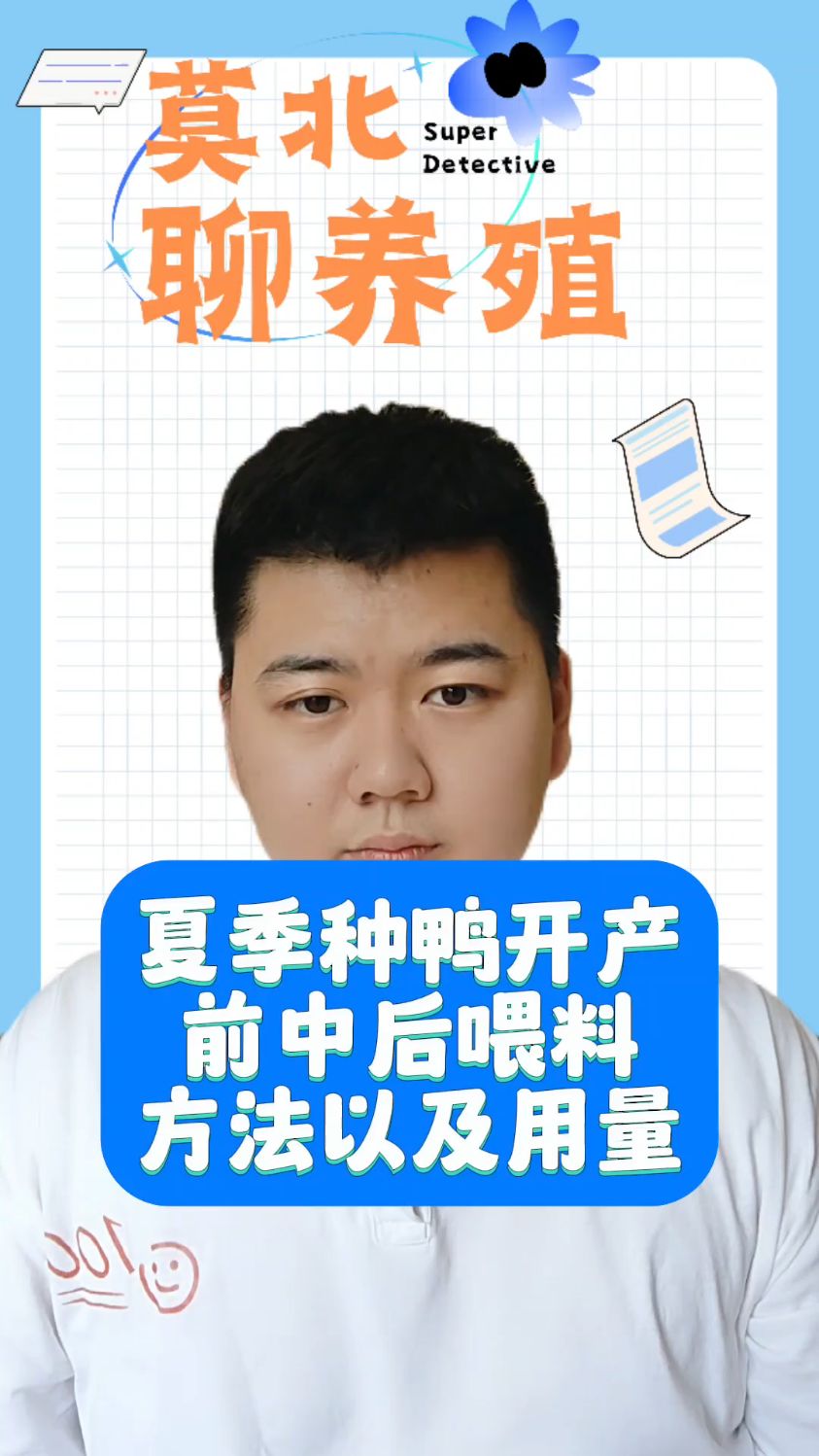 #养鸭饲养管理方法有哪些如何养鸭子注意哪些问题夏天养鸭子的注意事项