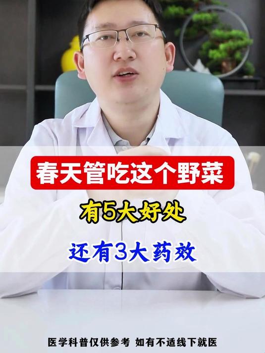 春天管吃这个野菜，有5大好处，还有3大药效！#蒲公英# #心脑血管##健康科普##医学科普