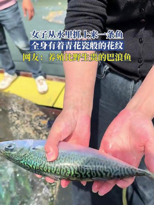 女子从水里抓上来一条鱼，全身有着青花瓷般的花纹