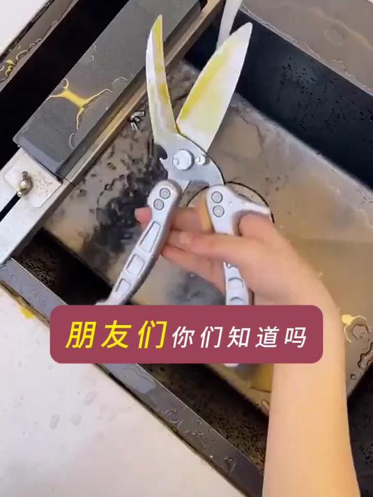 不仅剪骨头,还能剪鸡皮、鱼鳔,厨房备菜一把搞定,功能多样