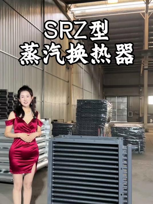 SRZ蒸汽换热器