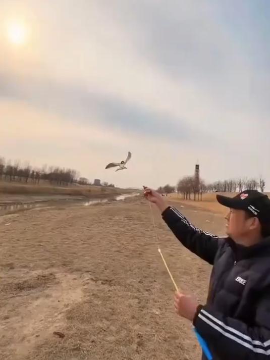 微风易飞儿童风筝,手持钓鱼竿设计,蝴蝶鹦鹉燕子卡通超萌