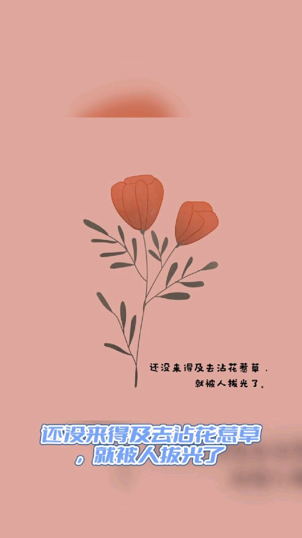 搞笑毒鸡汤系列(36)