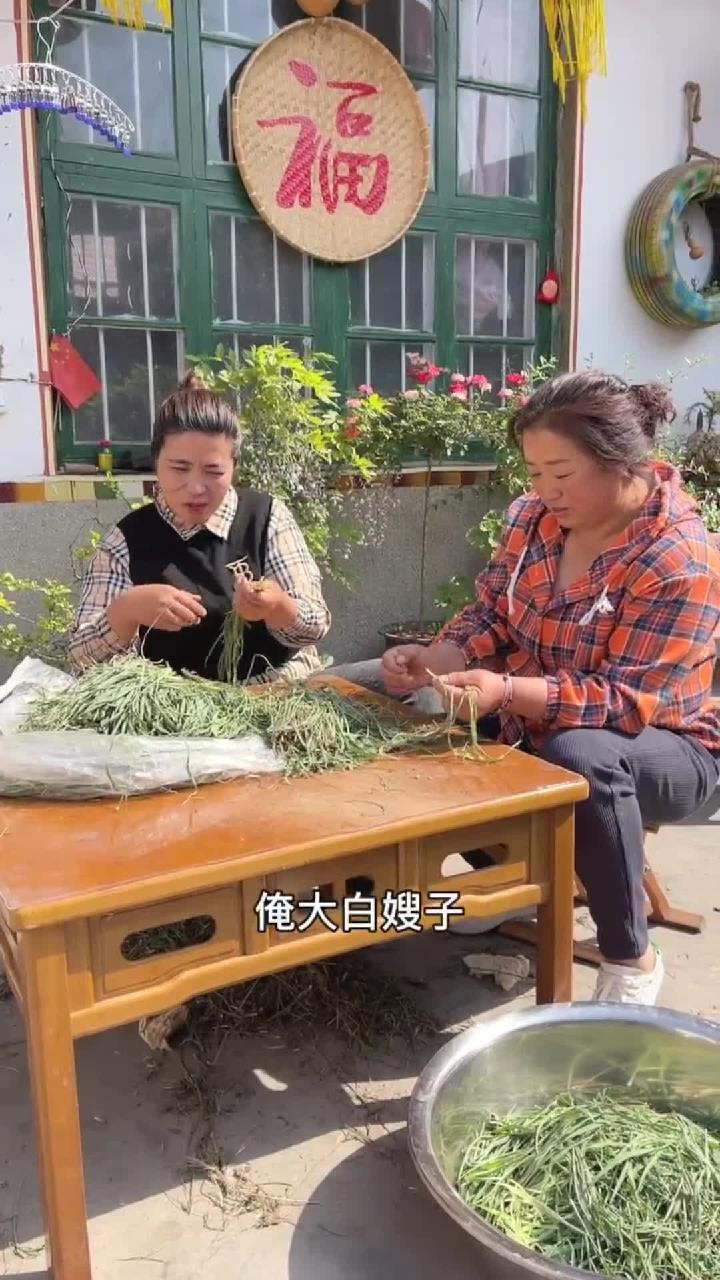 羊角菜包的大菜包子,一个人吃一个就吃的饱饱的了