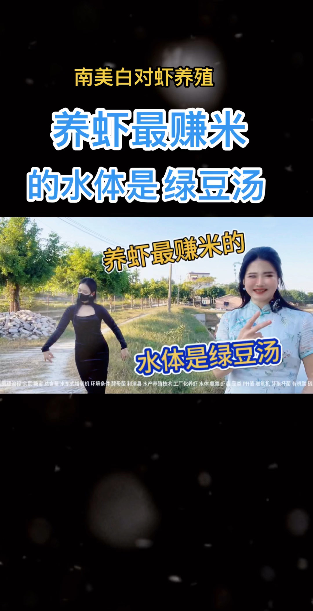 养虾最赚米的水体是绿豆汤。#南美白对虾养殖#土塘养虾#工厂化养虾#虾姐