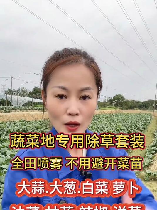 蔬菜地专用除草剂,全田喷雾.不伤蔬菜苗,针对菜地各种抗性杂草