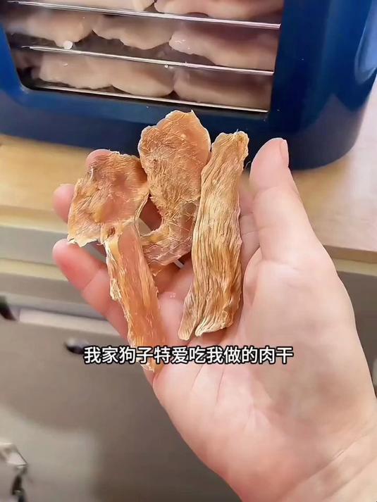 摩飞干果机 在家自制狗狗零食