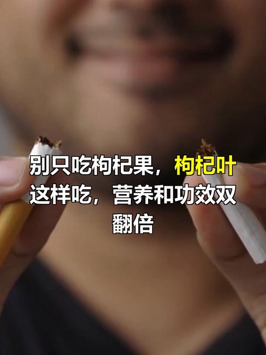 枸杞叶吃法和功效与作用