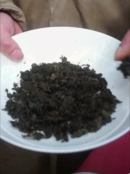 天然地皮菜:富含矿物质,补充微量元素,美味与营养兼具!