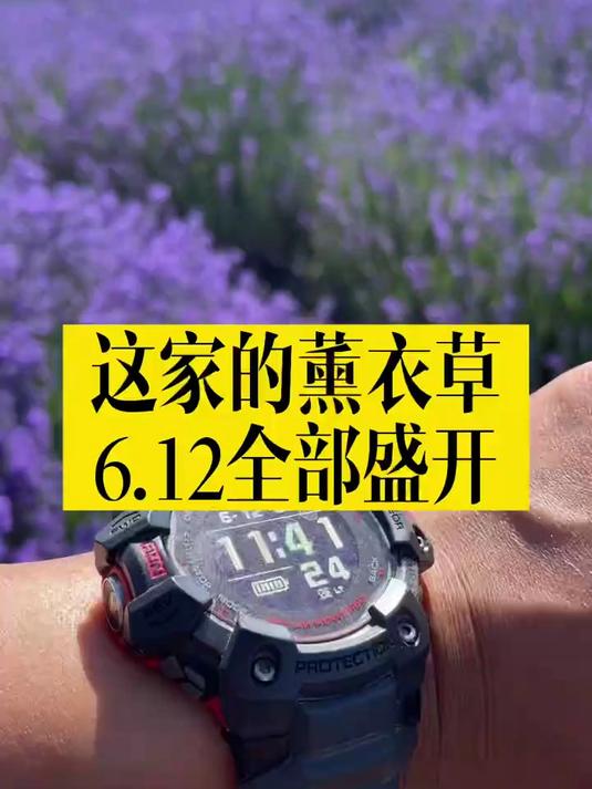 同名的伊犁薰衣草观赏地好几个,有的是购物店,千万不要去错了!