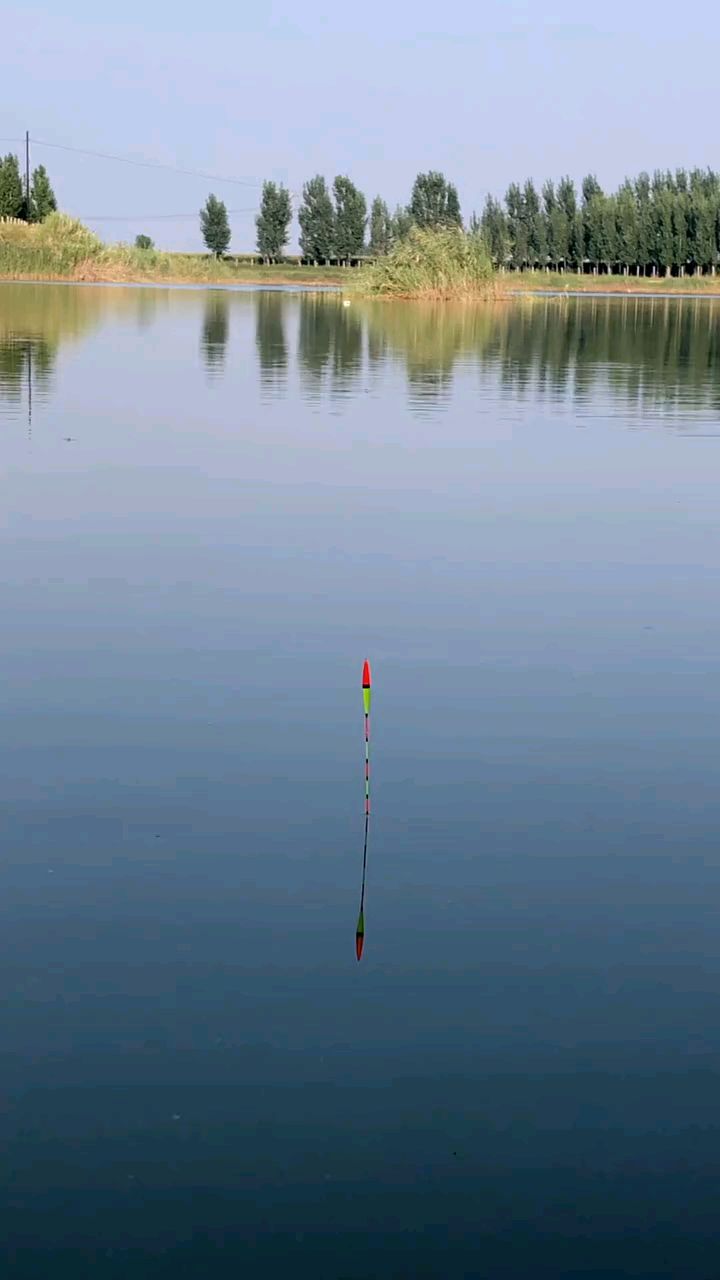 记住几点你就是钓鱼高手