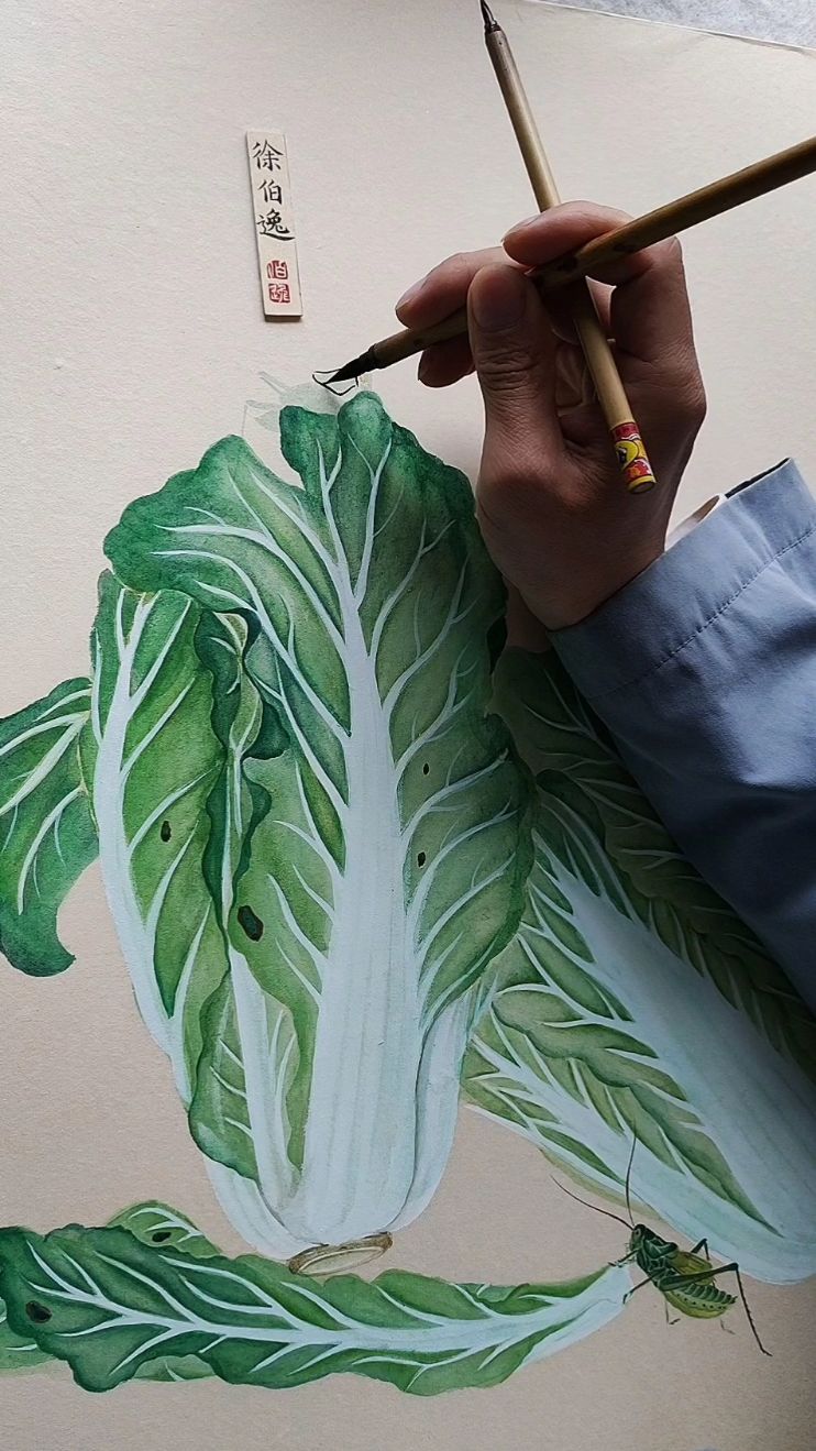 新鲜的白菜就需要画几只蝈蝈才更生动