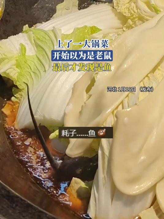 上了一大锅菜,开始以为是老鼠,最后才发现是鱼