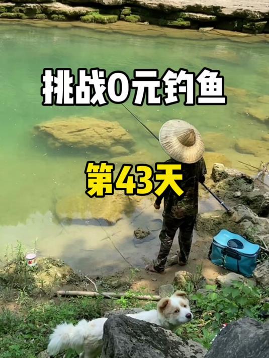 挑战0元钓鱼第43天，大哥们看看这什么鱼？