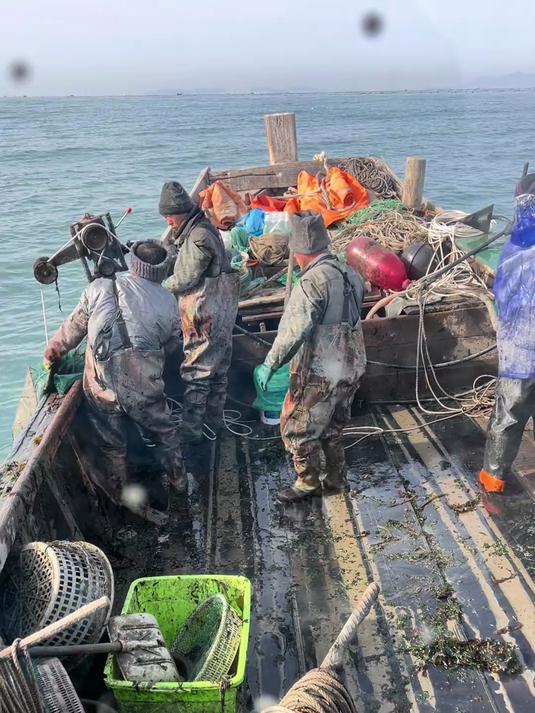 拿30万退伍费,投资二叔渔船,出海捕鱼一天竟可以赚13800块