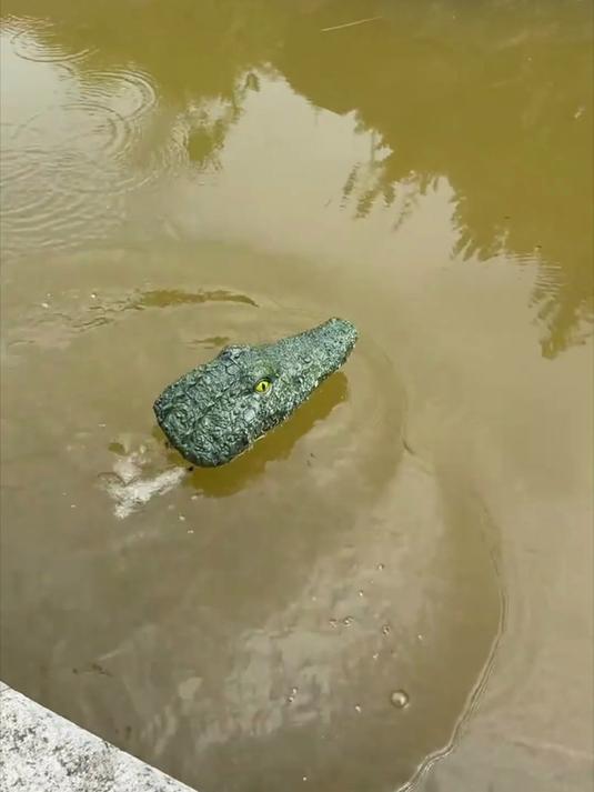 电动的小鳄鱼玩具