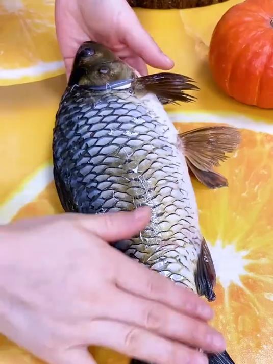 没想到自己在家能轻松刮鱼鳞,不伤鱼皮不伤手,大鱼小鱼都能用!