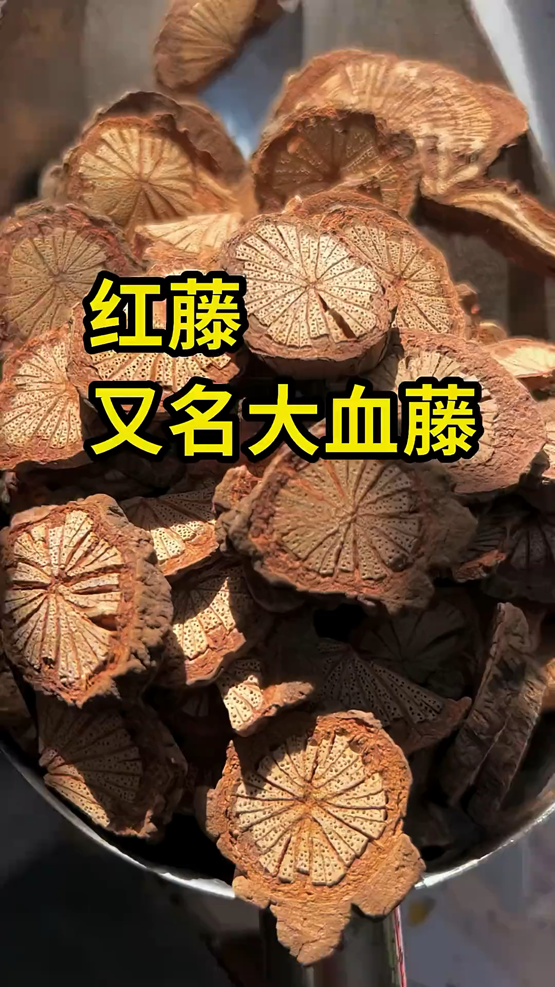 红藤也叫大血藤,通则不痛,痛则不通,我们也叫血塞通,有谁知道他的功效?
