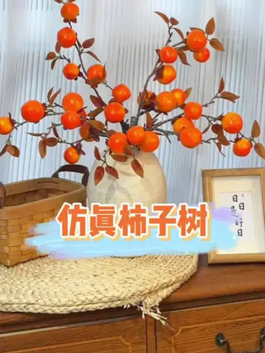 家里摆“柿柿如意”枝 新年有彩头 事事皆顺心