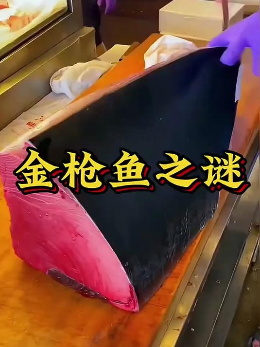 为什么金枪鱼价格天差地别？