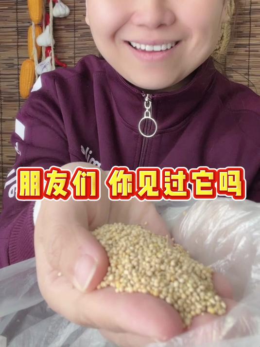 家人们,你们知道小米是由什么磨成的吗?