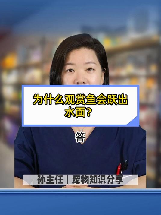 为什么观赏鱼会跃出水面?