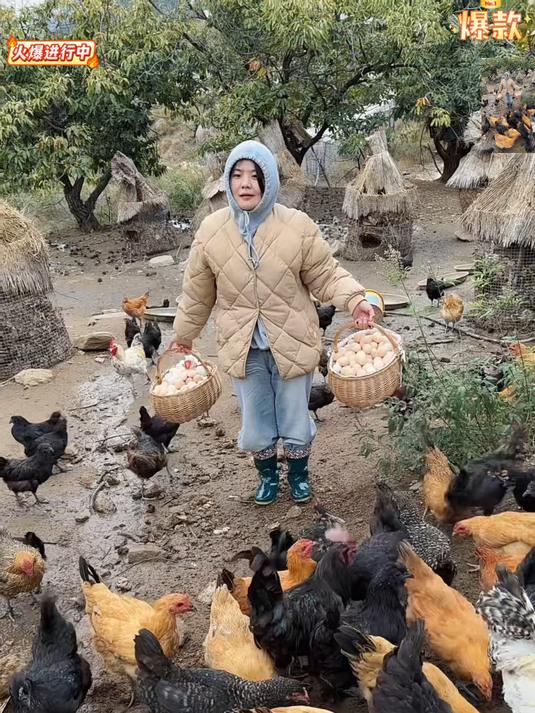 散养鲜土鸡蛋现捡现发破损包赔新鲜直达