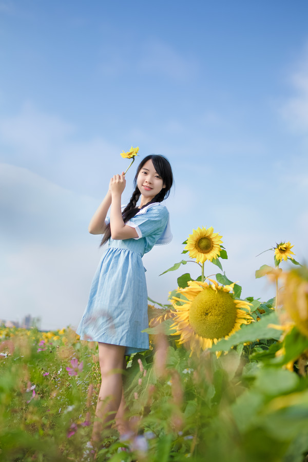 图片[9]-葵花物语-六色网