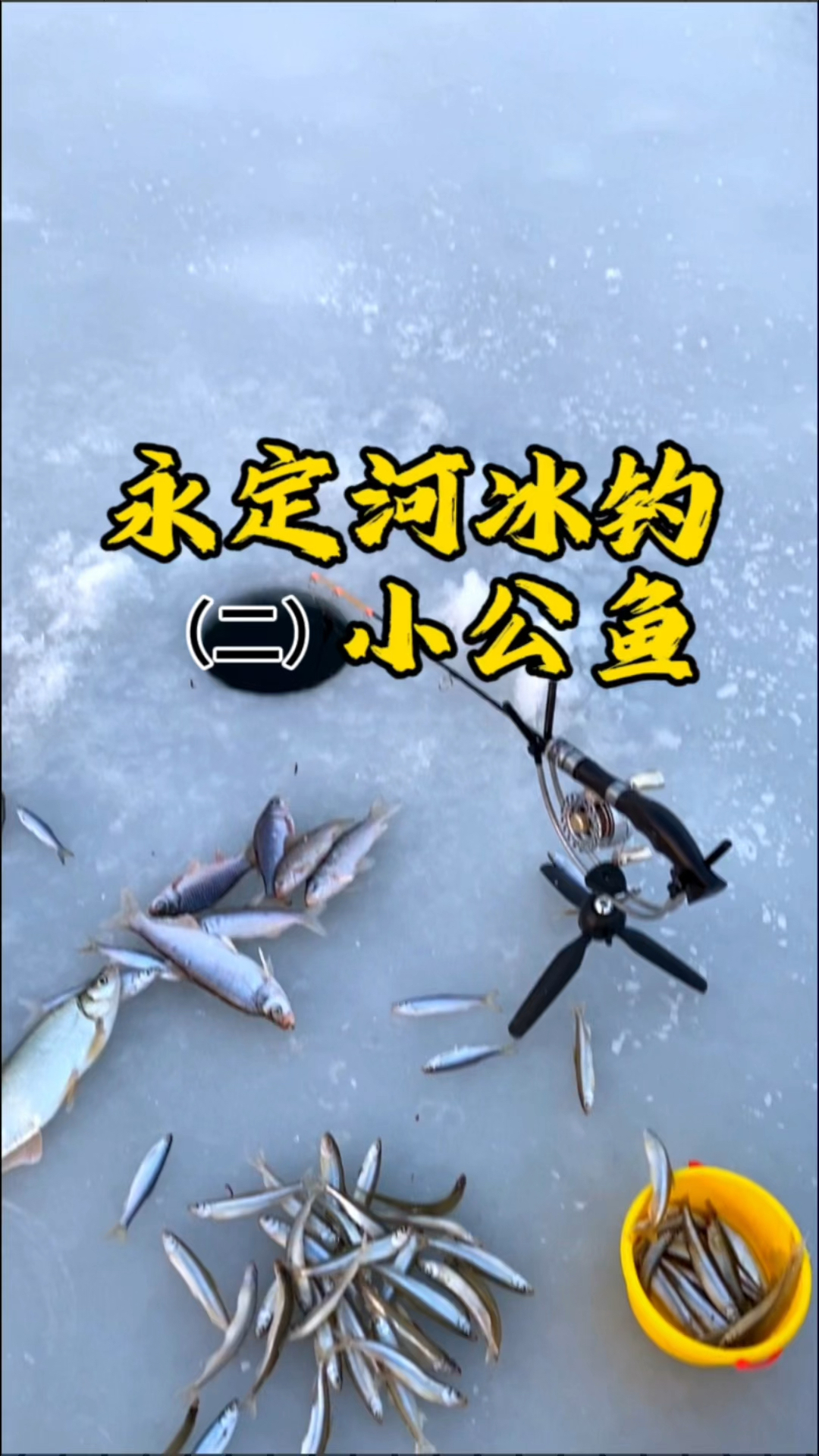 永定河冰钓小公鱼(二)