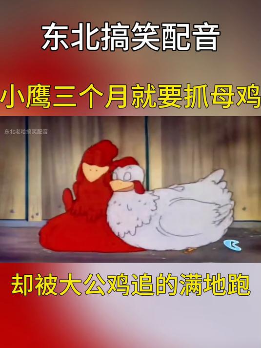 搞笑配音:小鹰三个月就要抓母鸡,却被大公鸡追的满地跑!