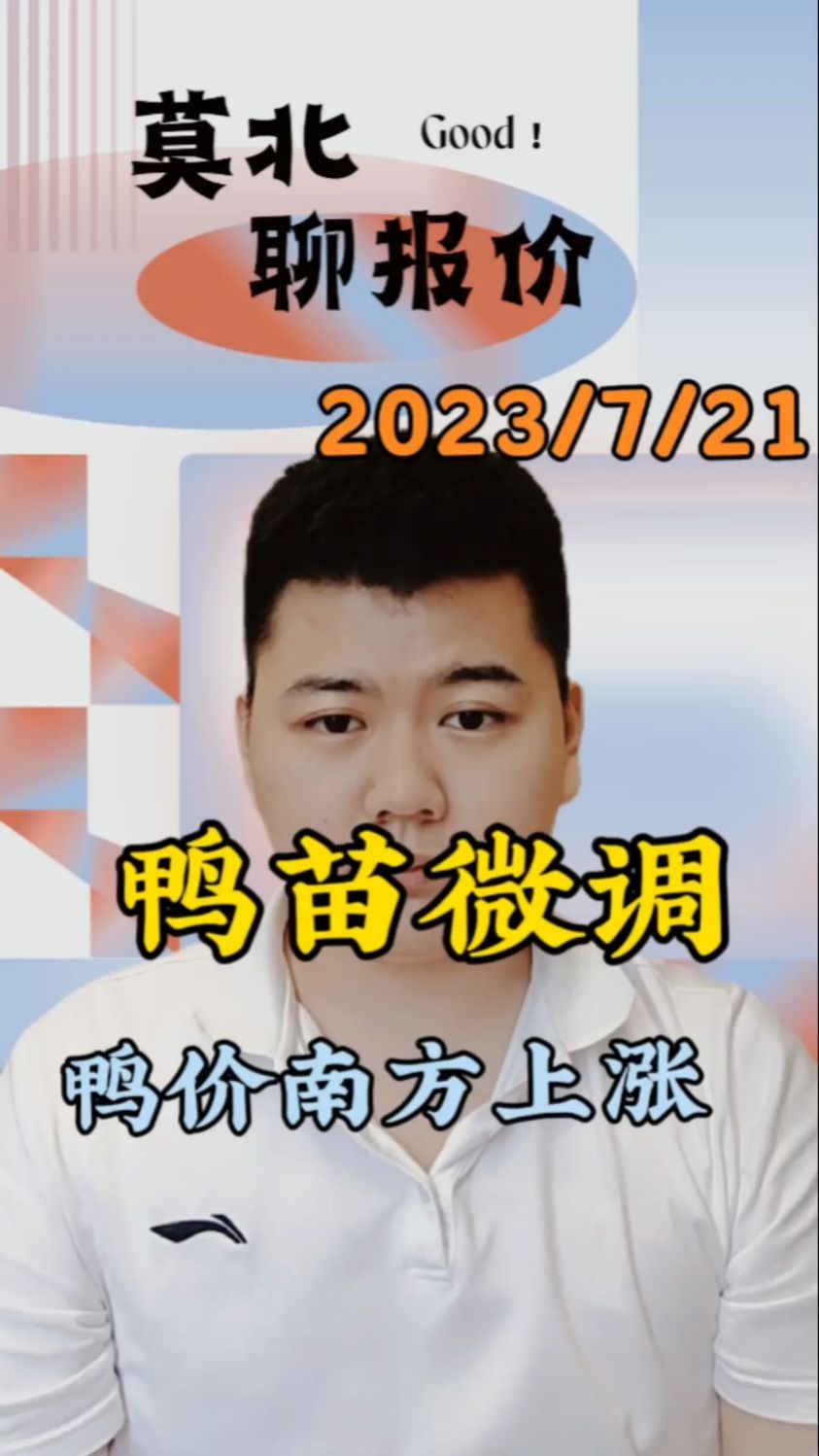 7月21日,鸭苗报价,北方上涨2毛、南方白羽上涨1-2毛,徐桂报价上涨至2.2