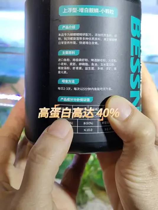 蝴蝶鲤想养好?专用饲料是关键!选对鱼粮很重要