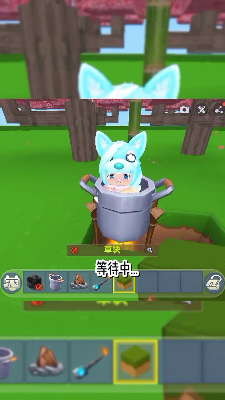 粉丝居然想吃羊肉?