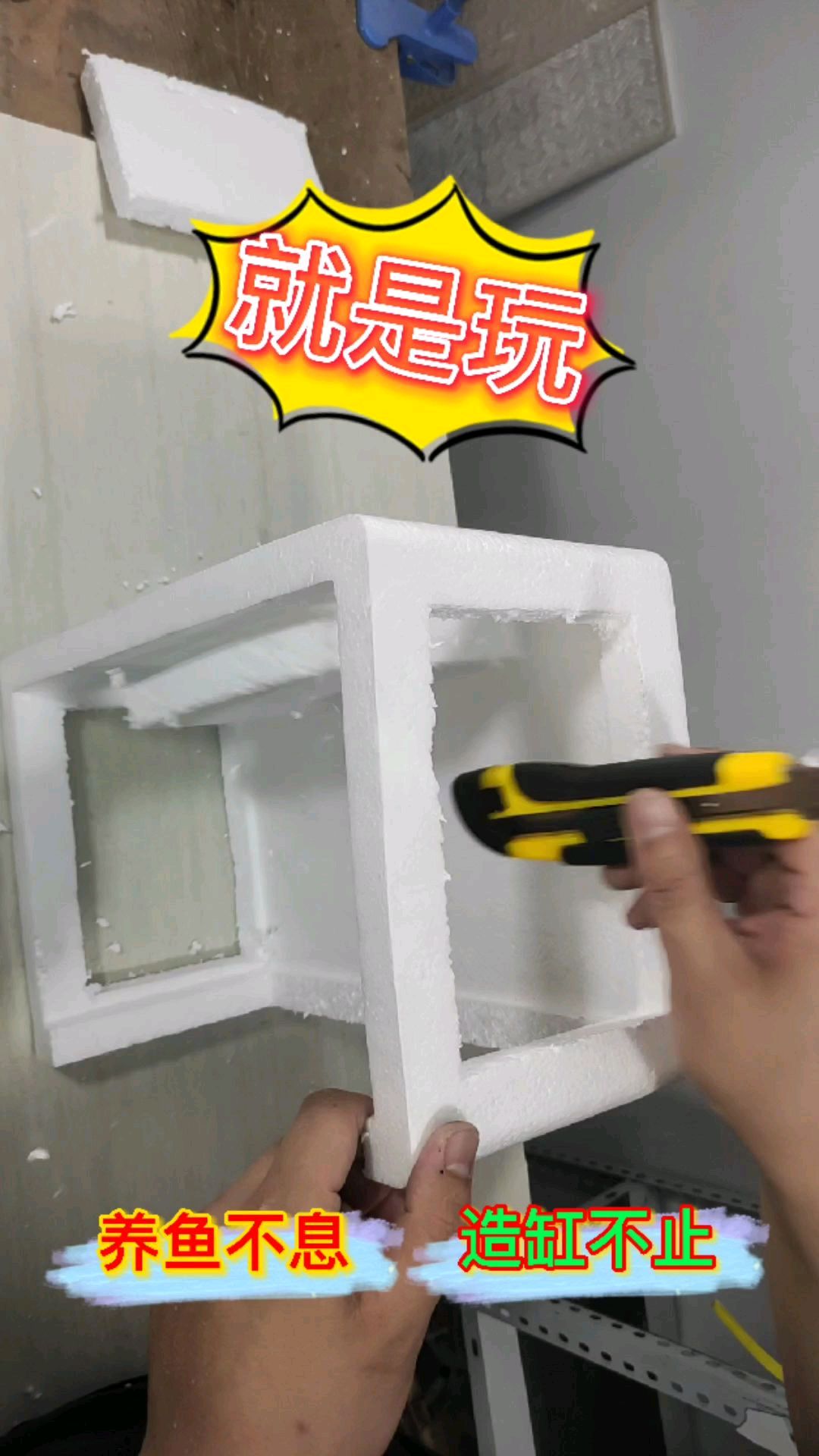用泡沫箱和玻璃改造个保温鱼缸,给家里孔雀鱼过冬专用,美观还实用