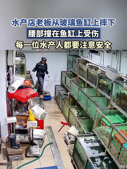 水产店老板从玻璃鱼缸上摔下,腰部撞在鱼缸上受伤