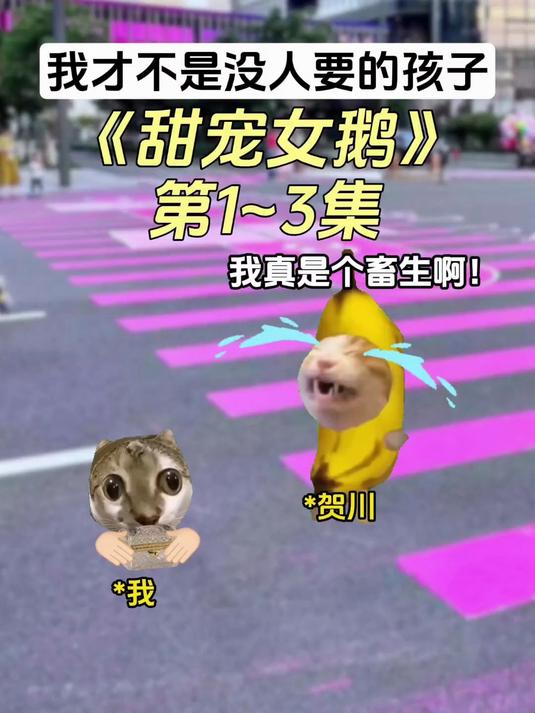 《甜宠女鹅》1～3