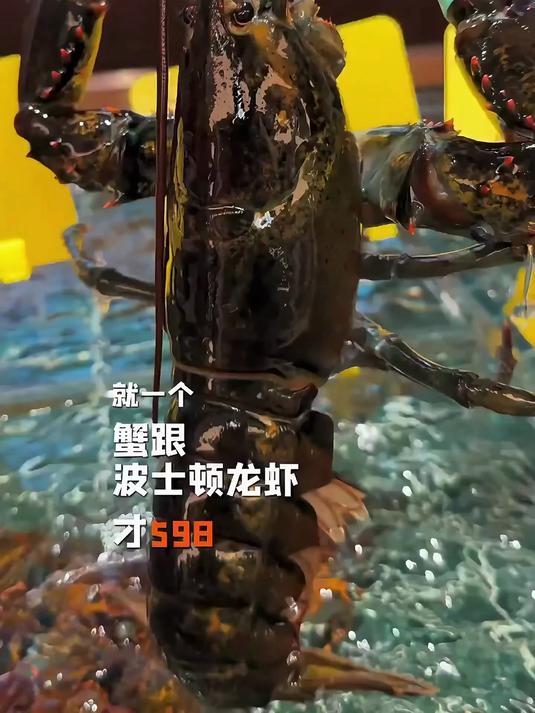 花1160能在上海吃到怎样水准的本帮江浙菜