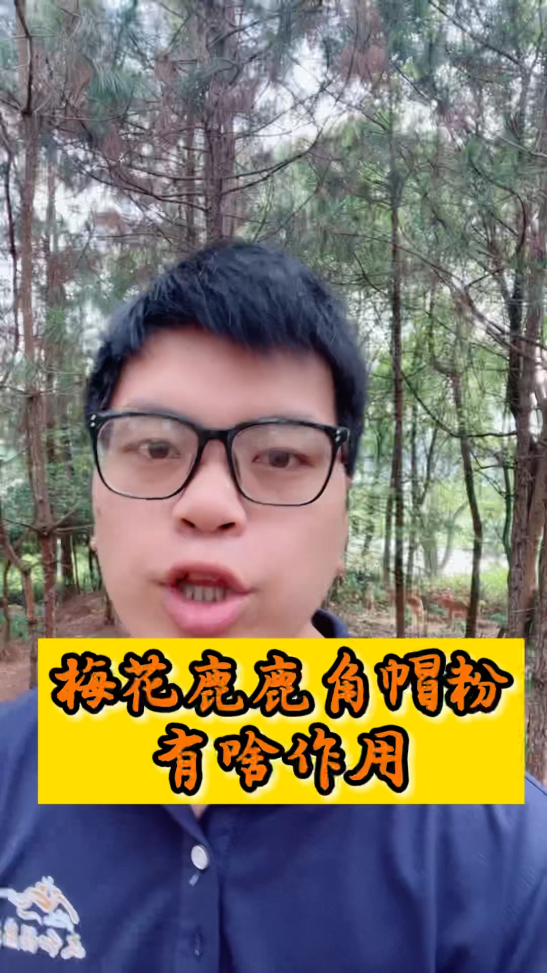 鹿产品知识科普,鹿角帽粉又啥作用?