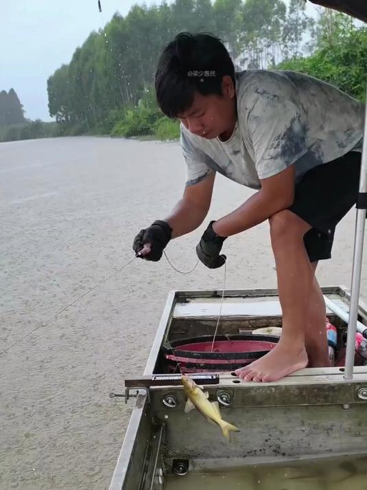 今天大部分都是赤眼鱼