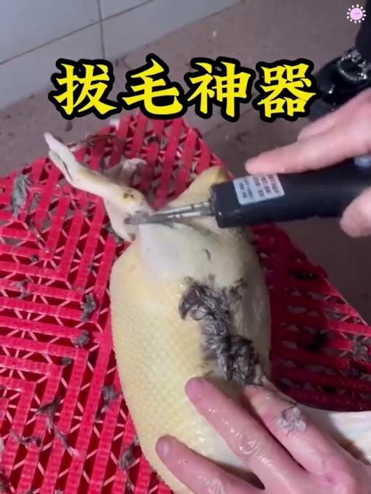 拔毛神器,轻松处理绒毛短毛细毛,有了它以后把鸡鸭鹅毛不辛苦